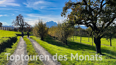 Toptouren des Monats Toptouren des Monats