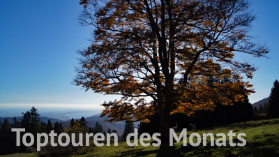 Toptouren des Monats Toptouren des Monats