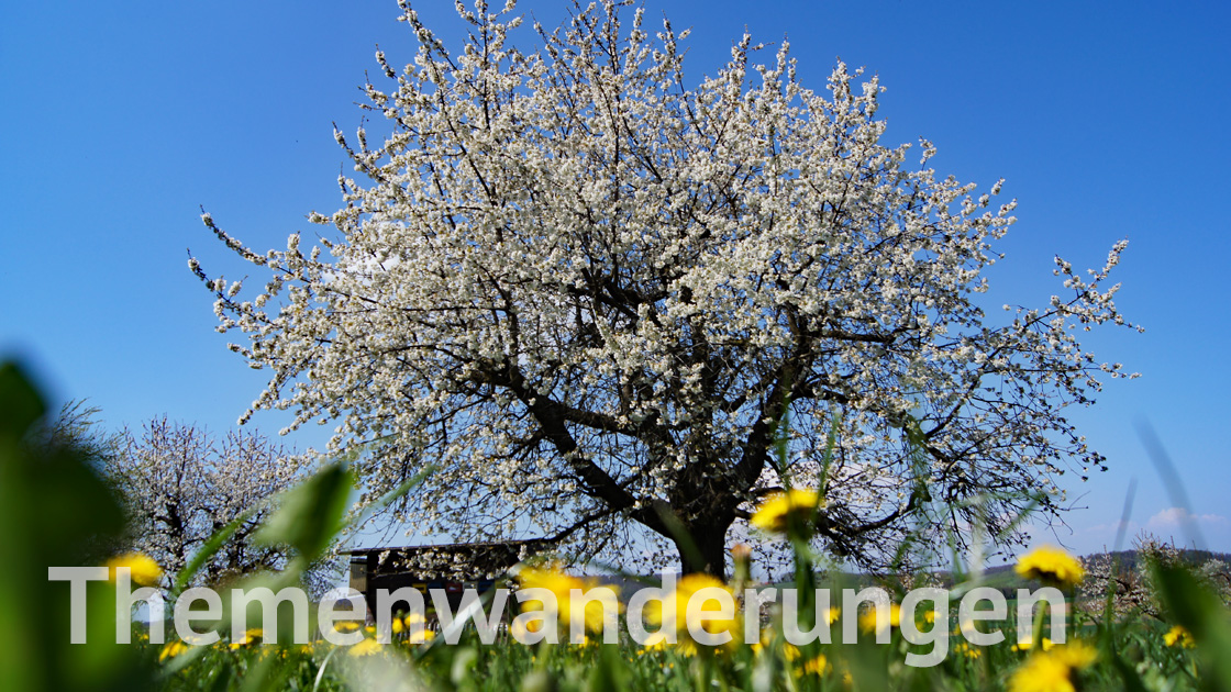 Spannende und beliebte Themenwanderungen Spannende und beliebte Themenwanderungen