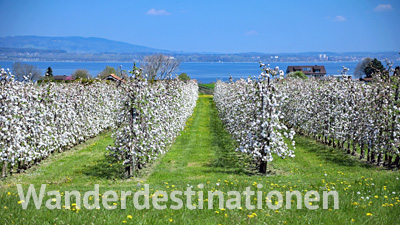 Schweizer Wanderdestinationen Schweizer Wanderdestinationen