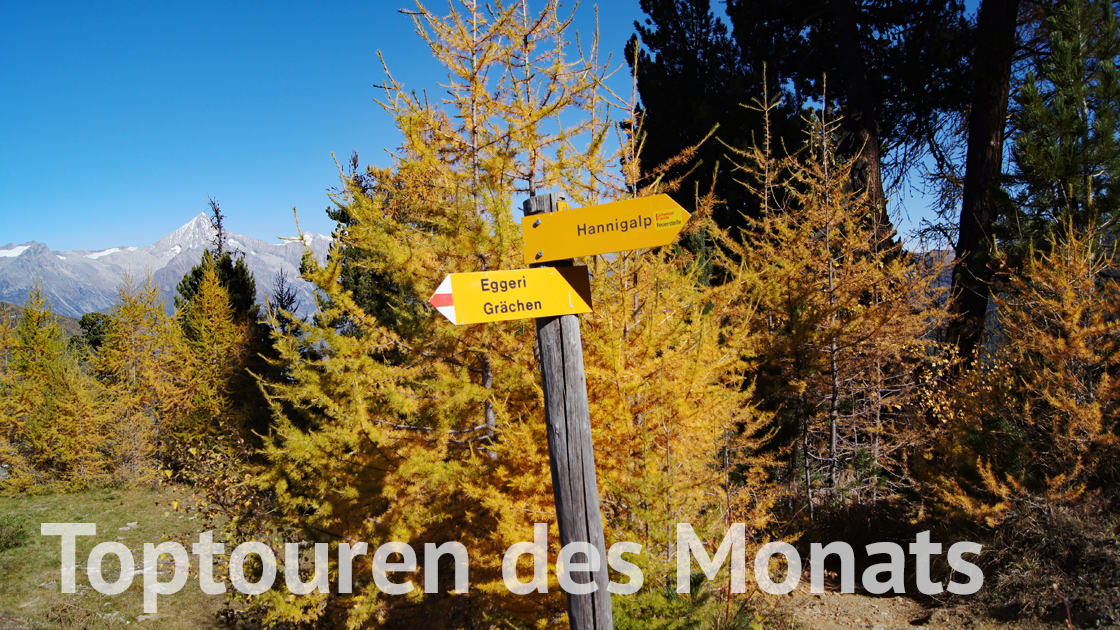 Toptouren des Monats Toptouren des Monats