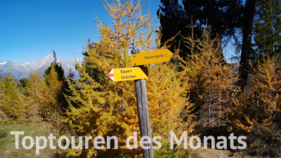 Toptouren des Monats Toptouren des Monats
