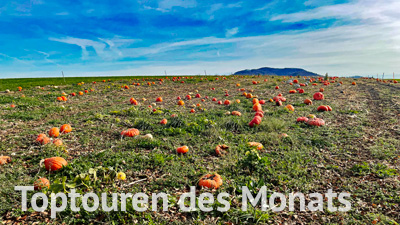 Toptouren des Monats Toptouren des Monats