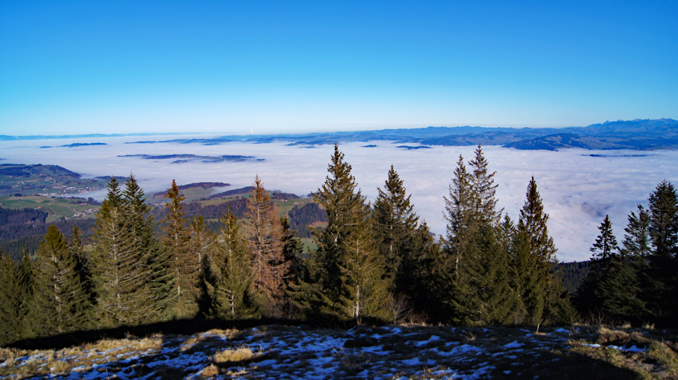 Toptouren des Monats