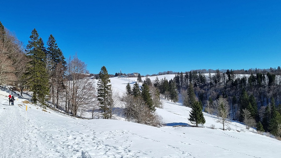 Winterwanderungen in der Nordwestschweiz