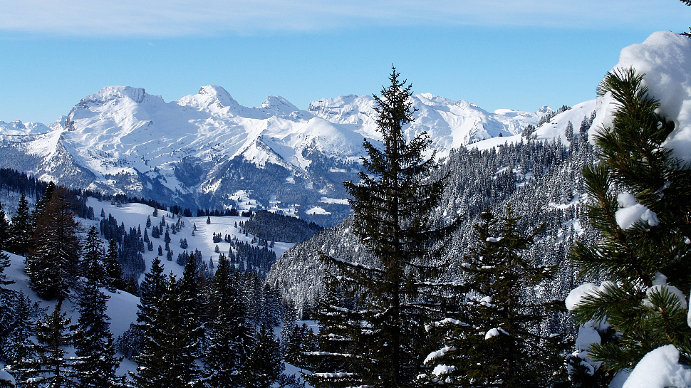 Winterwanderungen im Fürstentum Liechtenstein