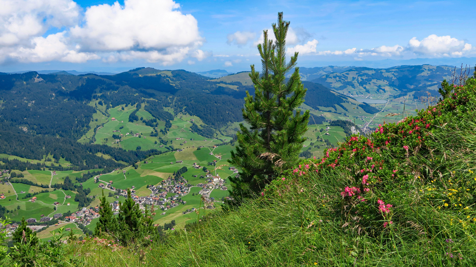 Bergwanderung vom Seebli auf den Roggenstock