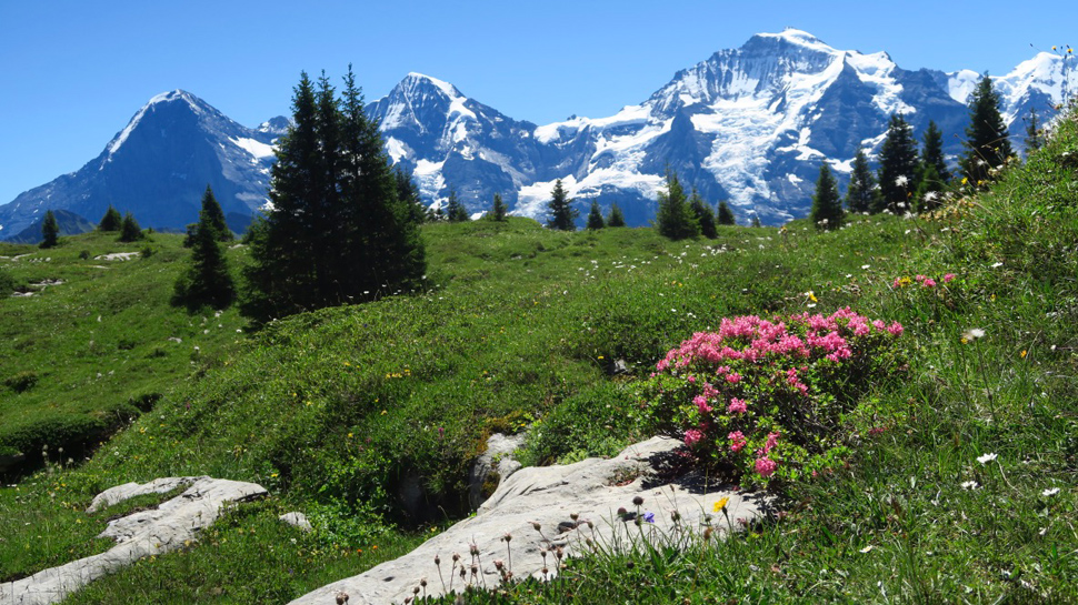 Bergwanderung von Sulwald zur Lobhornhütte