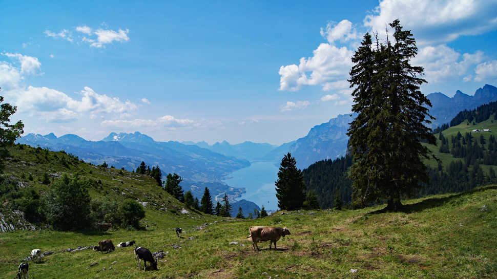 Panoramawanderung von Palfries zur Sennisalp