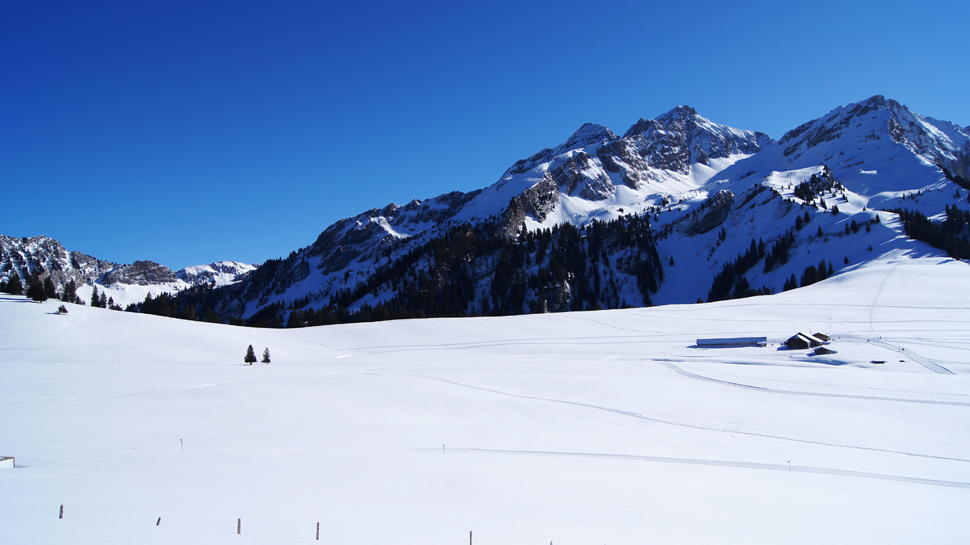 Schneeschuhtour auf dem Col des Mosses