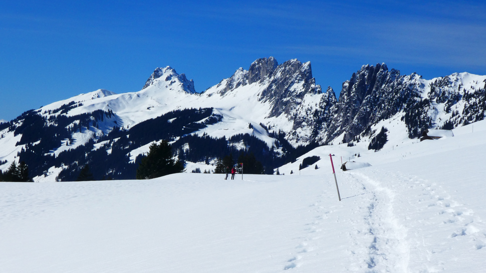 Schneeschuhtour Jaunpass Trail