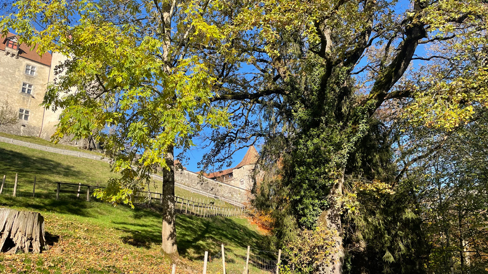 Wanderung von Bulle nach Gruyères