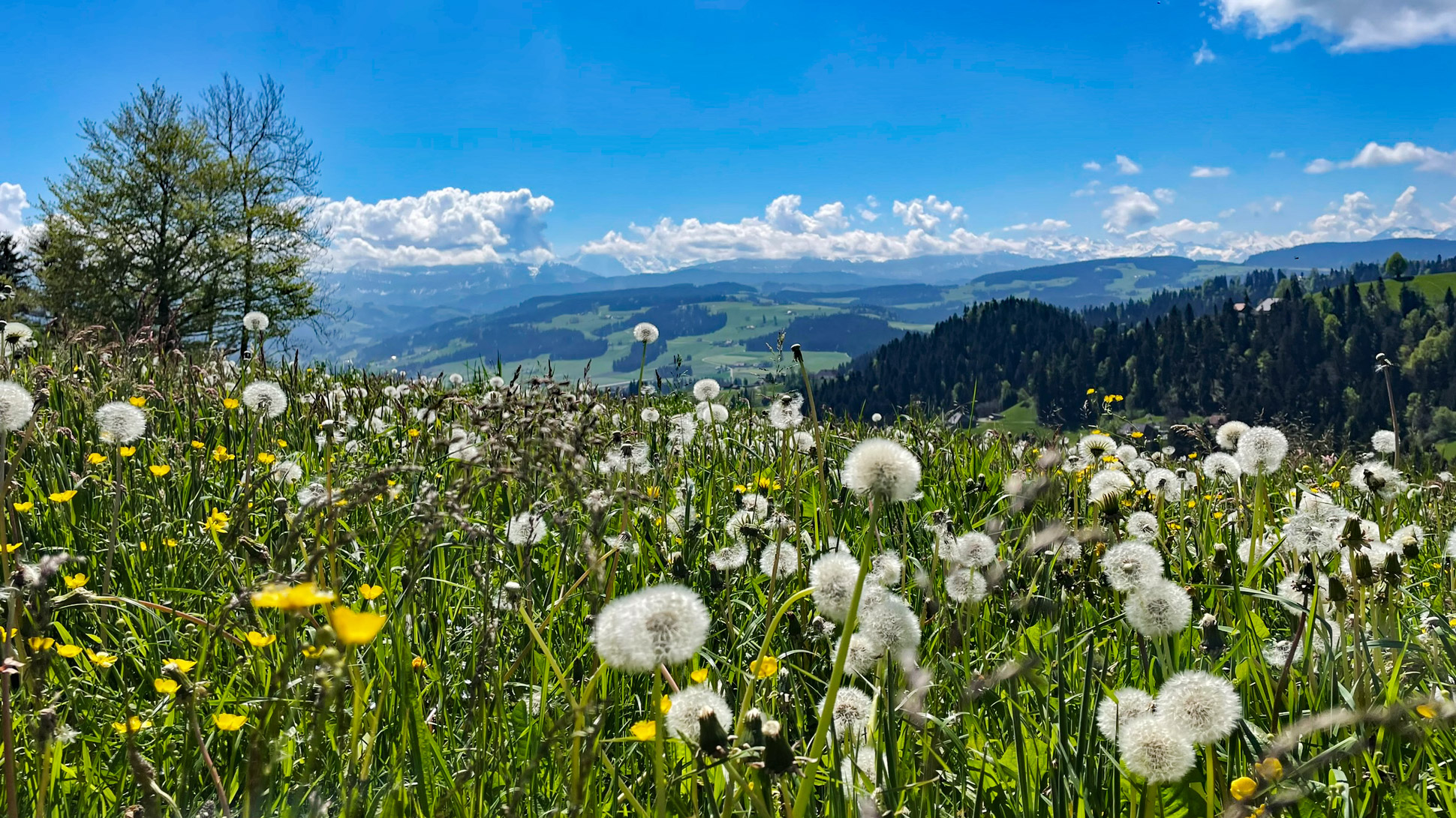 Wanderung über die Blasenfluh nach Zäziwil