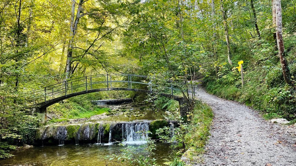 Wanderung Küsnachter Tobel und Dorfbachtobel