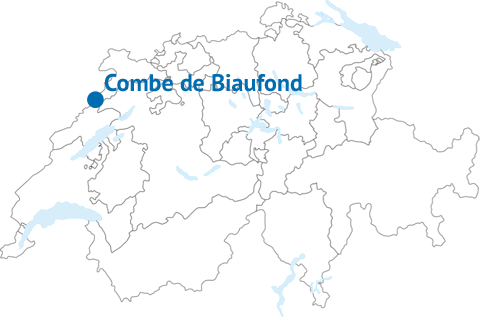 Lage von Combe de Biaufond